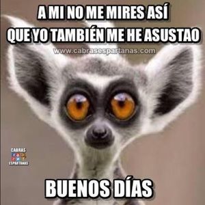 Meet your Posher, Dani